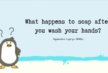 What happens to soap after you wash your hands?